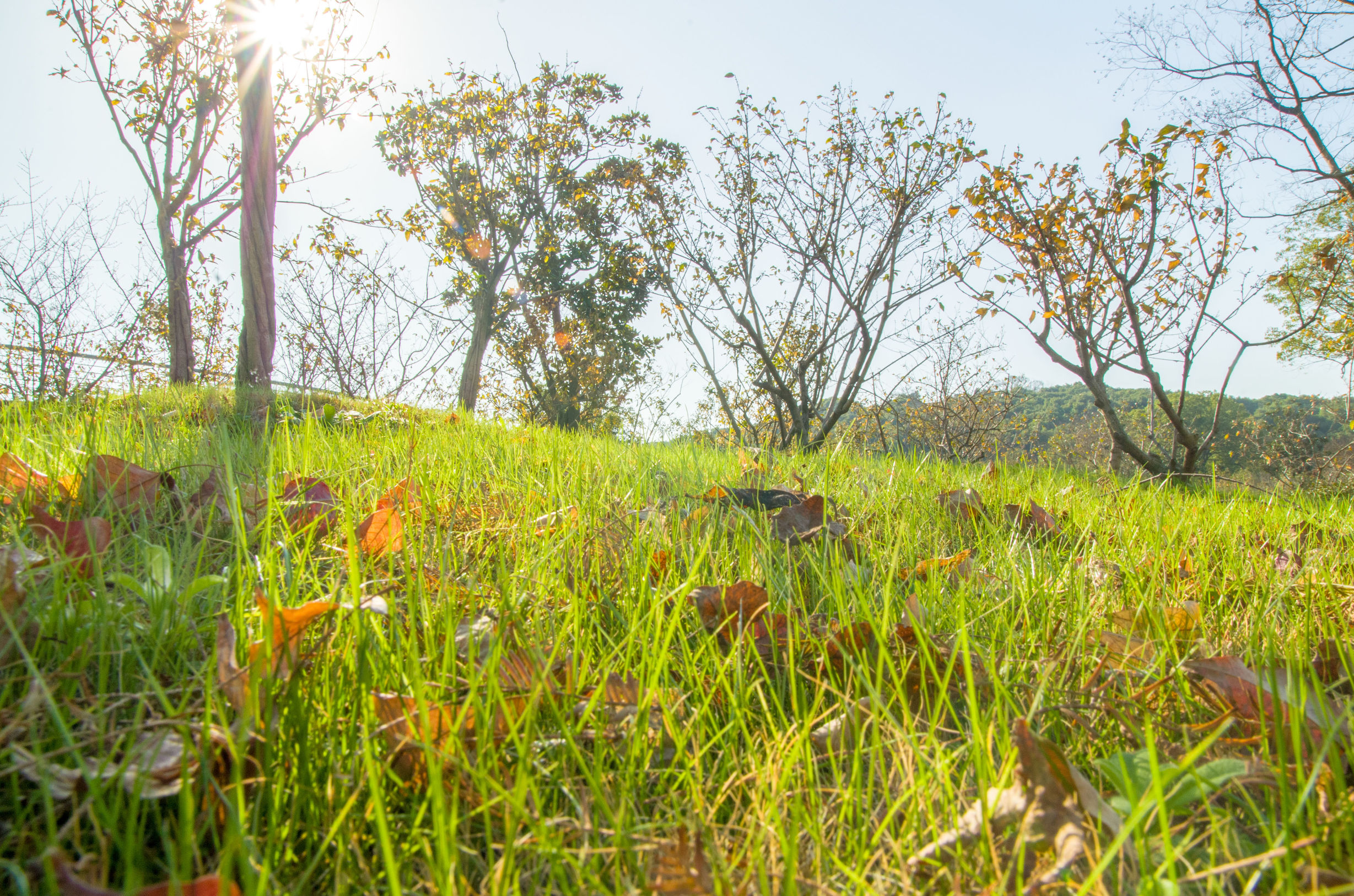 摄影小白推荐相机300左右,拍照好的长焦镜头推荐