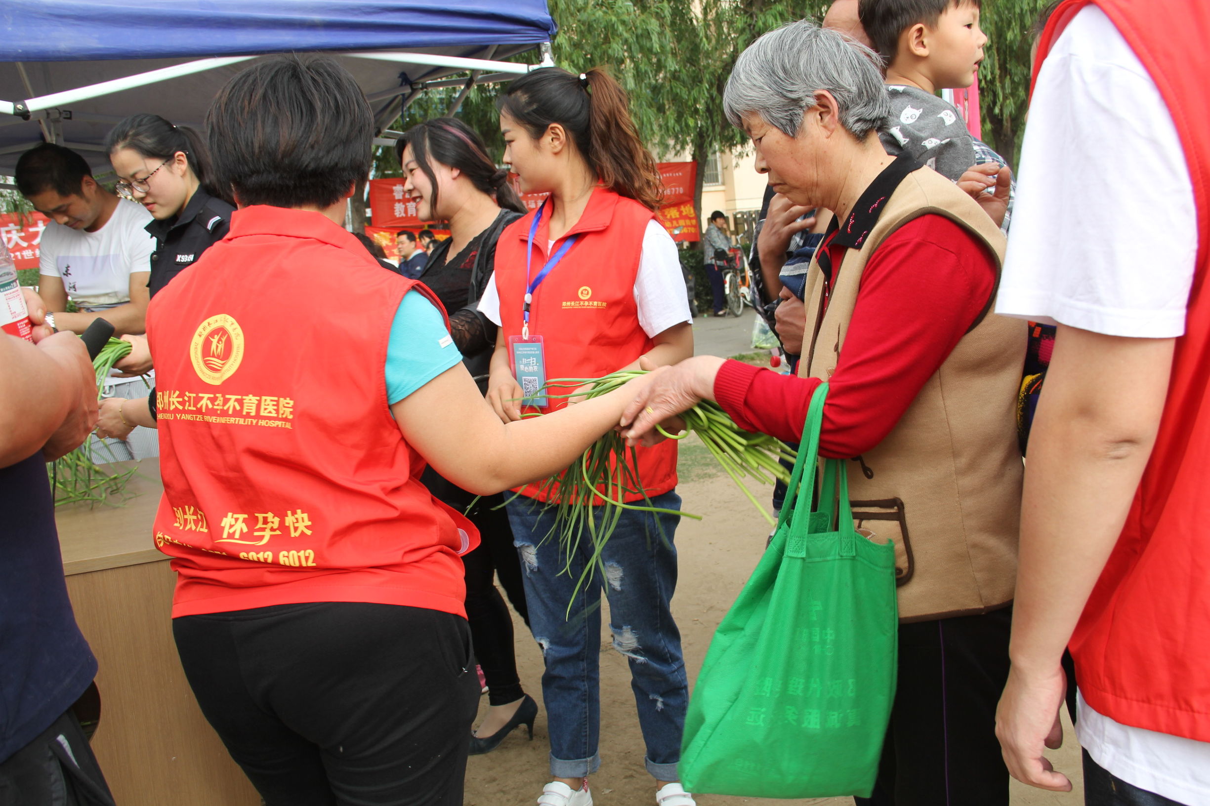 河南蒜薹最新消息,河南蒜薹滞销