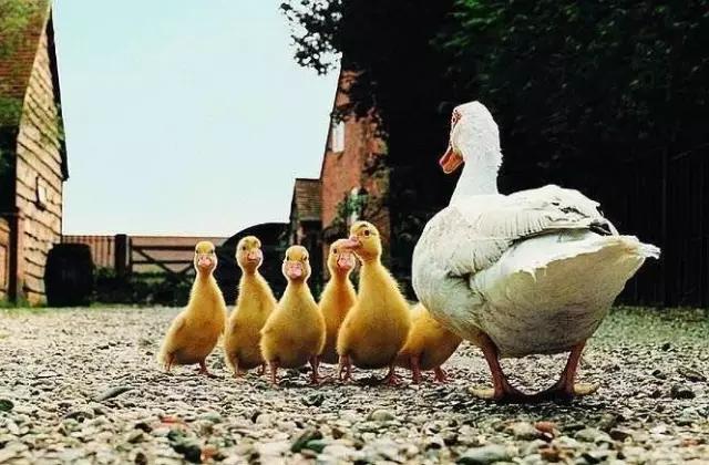 浣忓鍒嗕韩,浣忓鍒嗕韩璁㈠崟