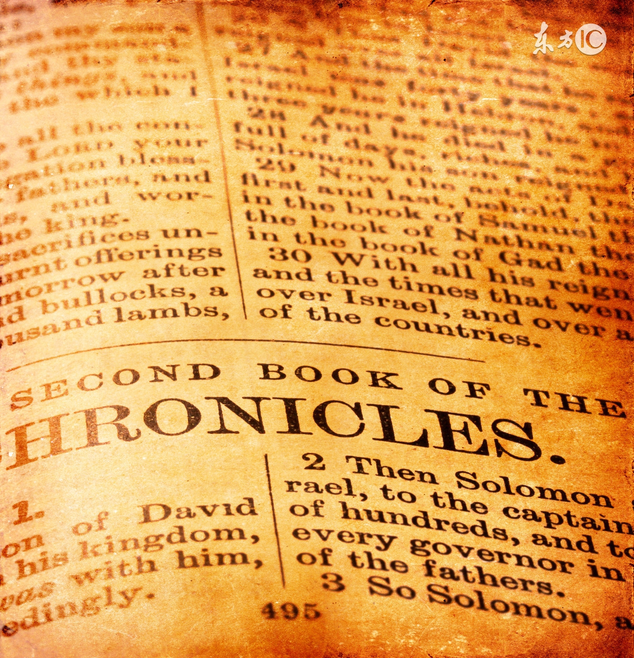 怎么拼读发音相不相同的英语单词,如何解决孩子不认识英文单词