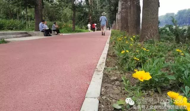 美爆了新中式庭院,美爆了新中式庭院3000平