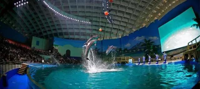 地铁8号线东延何时建成,地铁8号线支线迎来新进展