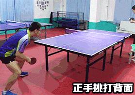 乒乓球技术分享反手站位框架教学,乒乓球技术汇总表
