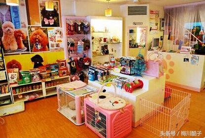 小投资高回报的赚钱方法,不用投资就能赚钱的小项目有哪些