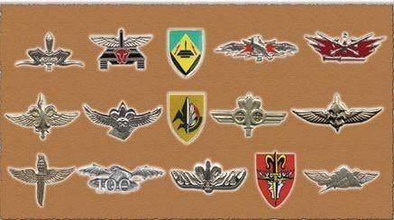 一支部队执行任务600余次，一支特种部队走出总理，如何对比呢