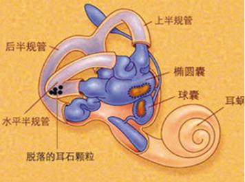 挂内科小技巧,怎么挂门诊专科