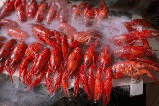 小龙虾上海排行榜,上海小龙虾自助排名前十