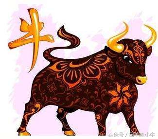 属牛人的天乙贵人：天乙文星，得之聪明智慧