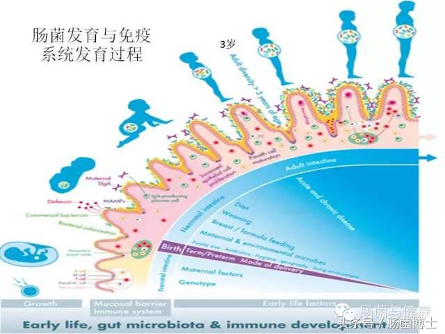 感恩母亲给予我们的一切,感恩母亲给了我们无私的爱