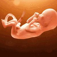 看懂孕期B超单,其实没有那么难!