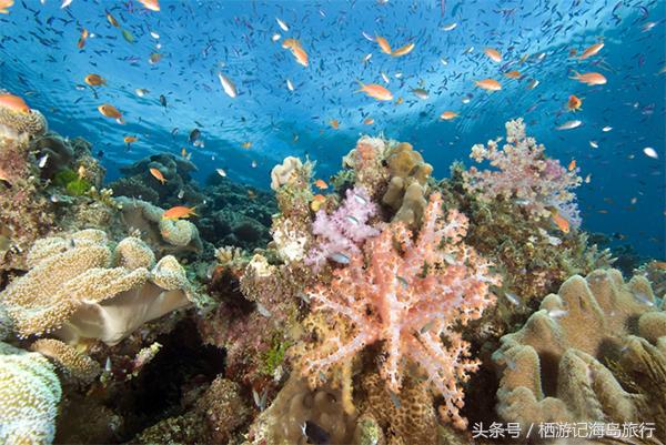 斐济是一个顶级度假胜地,去斐济一定要去的地方