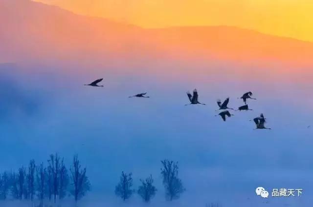 你家有家谱吗？你知道你的始祖是谁吗？