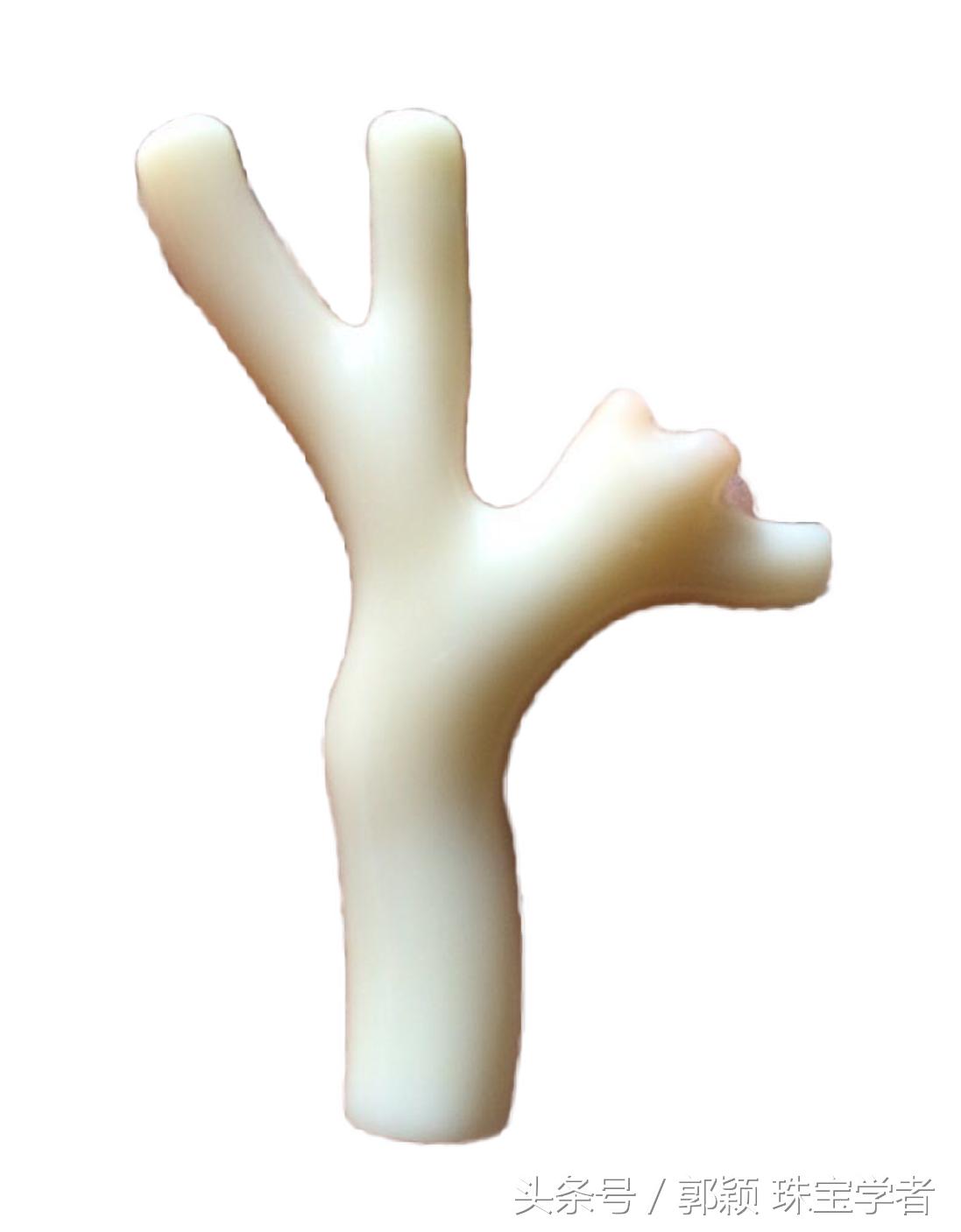 阿卡牛血红珊瑚自己戴可以吗,顶级阿卡牛血红珊瑚是哪个产地