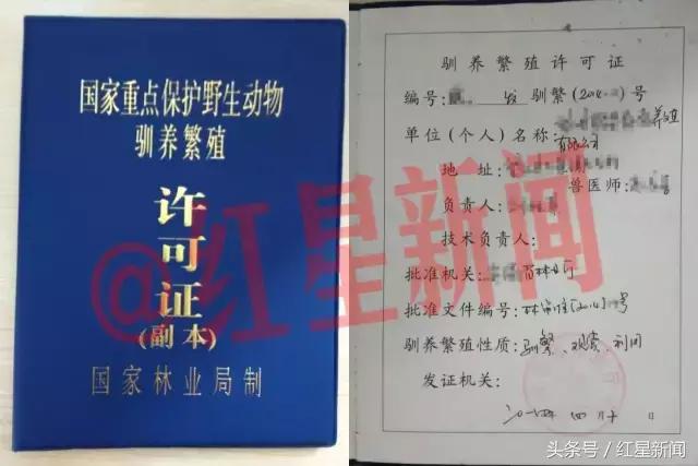 卖鸟被判10年的是什么鸟,养鹦鹉被判刑的案例