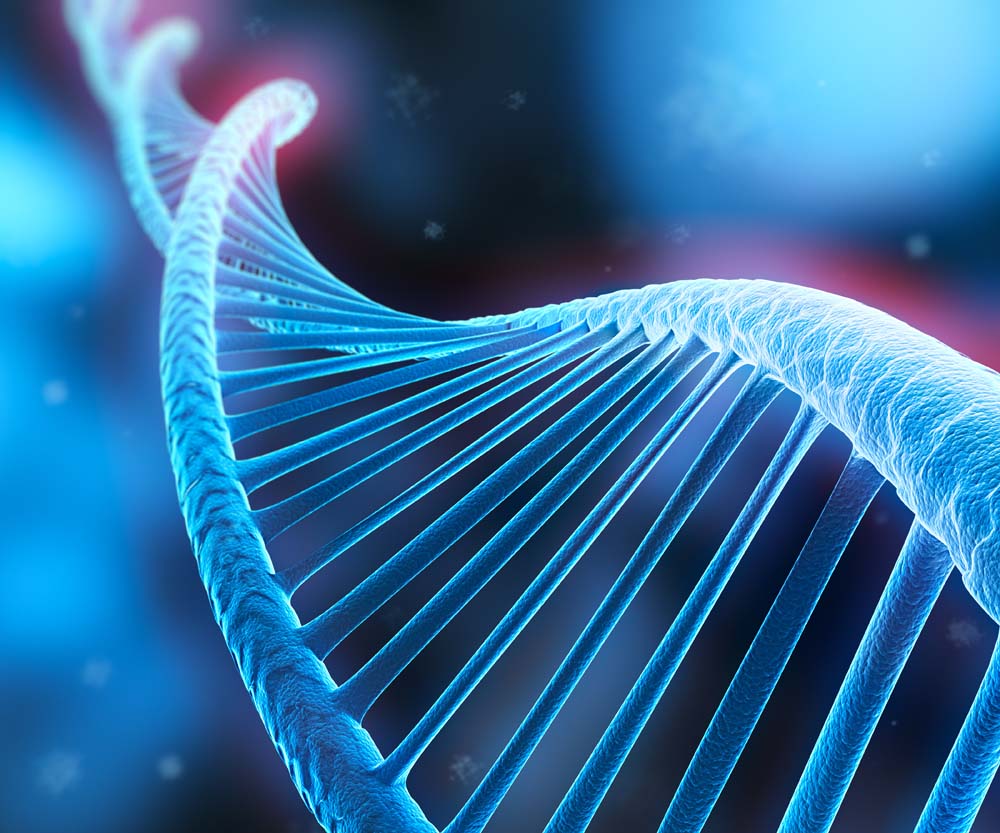 和叔叔做dna能证明孩子是哥哥的吗,只有孩子的dna能查出亲生父亲吗