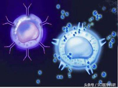 转移性恶性黑色素瘤有效治疗方法,黑色素瘤新型靶向疗法有望开发