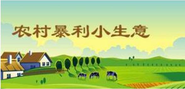 农村不起眼的暴利小生意,县城农村暴利小生意有哪些