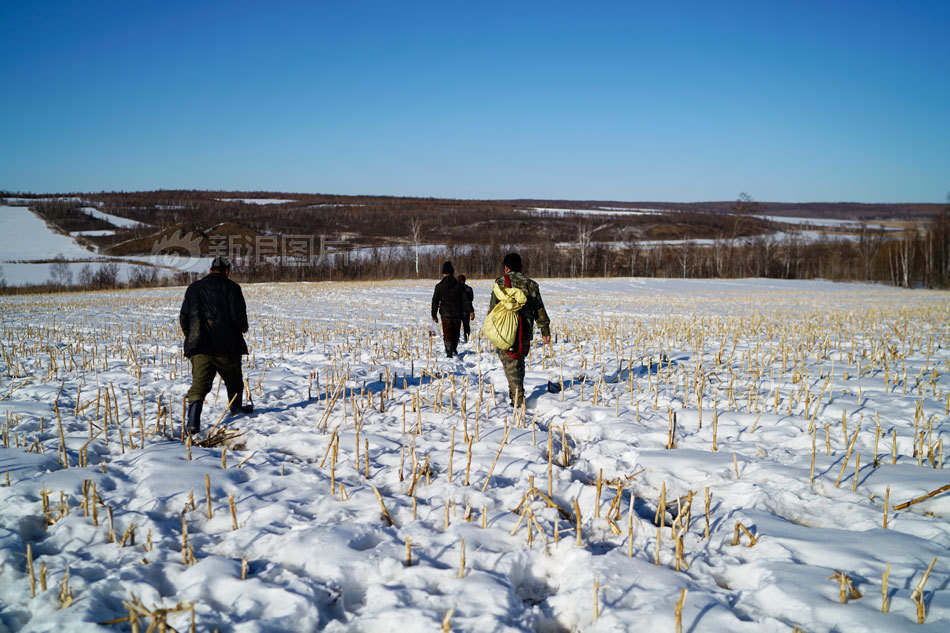 “疯狂的玛瑙”农民工熬夜寻宝，“淘石客”日赚千元的心酸~