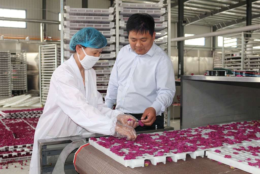 循着玫瑰香来到*瑰园玫**