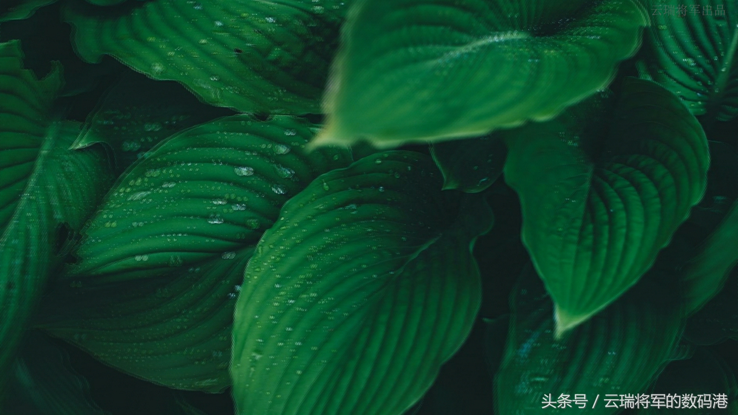 感受新视界——裸眼3D手机ivviK5测评「原创」