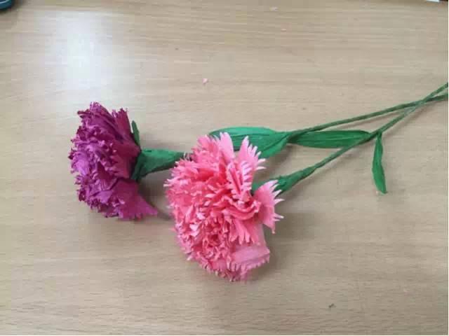 母亲节康乃馨图片大全大图,母亲节礼物手工康乃馨用卫生纸折