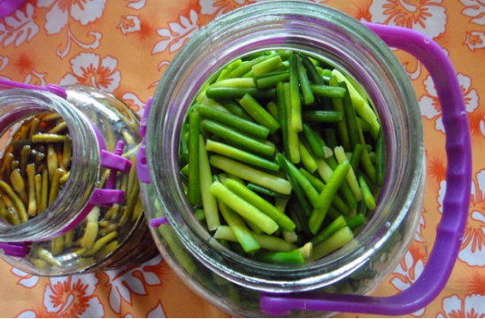 蒜苔老了是什么样的,蒜苔老嫩