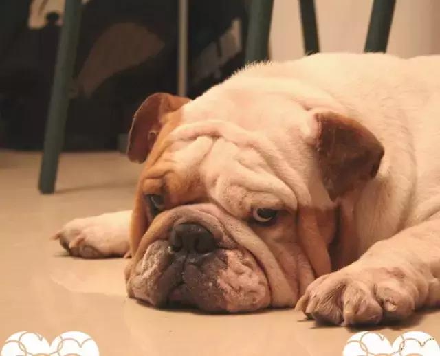 了解这些让胃癌离你远一点,了解这些可以让你少走弯路