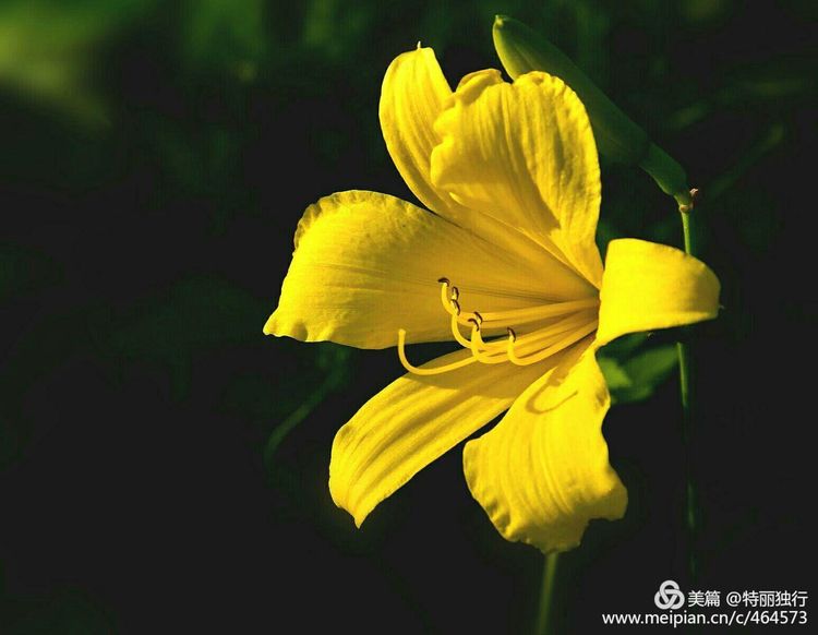 走过四季夏天最美,走过春夏美丽的秋冬