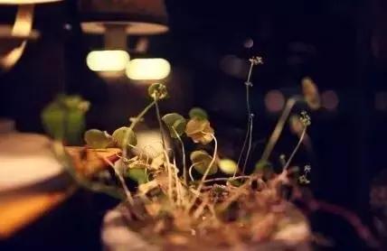 天才作家or编程高手，都不过是他牛逼人生里的一件小事