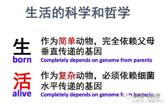 感恩母亲给予我们的一切,感恩母亲给了我们无私的爱