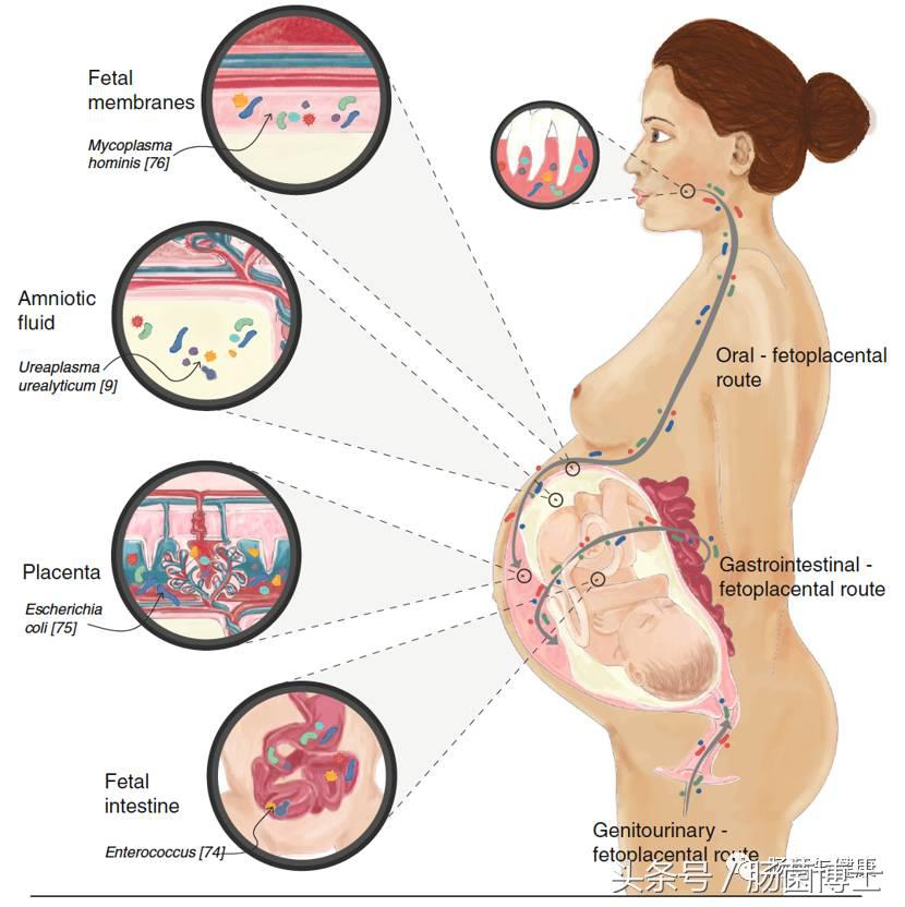 感恩母亲给予我们的一切,感恩母亲给了我们无私的爱
