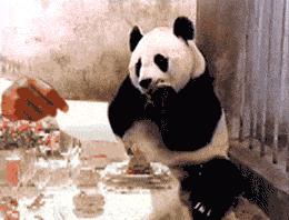 真人女朋友也会漏气！大家快来看！不知谁的女朋友漏气了！