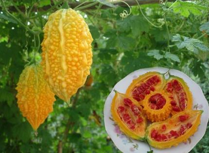 看一下那些你没有吃过的奇葩水果,哪十大奇葩水果吃了很富有