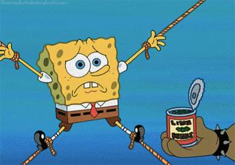 极度厌食,极度挑食的人是什么性格