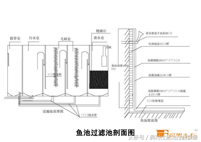 大型鱼池建造过程及施工方法,省钱鱼池建造过程及施工方法