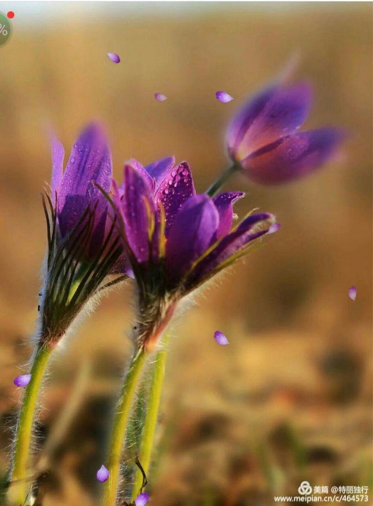 走过四季夏天最美,走过春夏美丽的秋冬