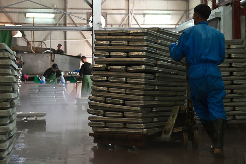 鱼子酱经典场面,带你探寻顶级鱼子酱的加工流程