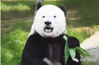 震惊众人的片段,惊呆众人的现场