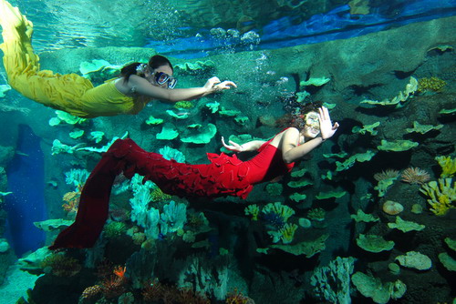 外地人有福了!是谁整理的这本青岛玩乐指南?我要奖励他!