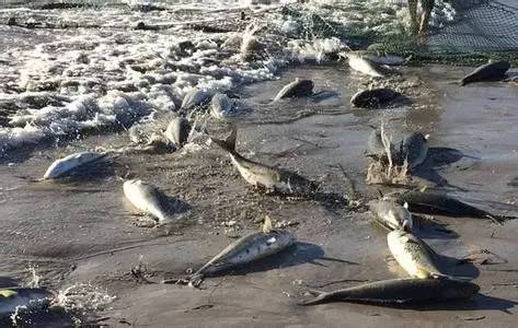 朋友圈霸屏的男人是谁啊,霸屏朋友圈的男人直播