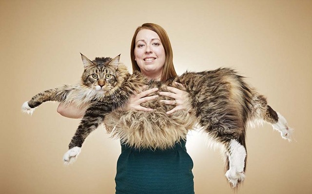 《吉尼斯世界纪录大全2017》开售又有哪些世界之最？