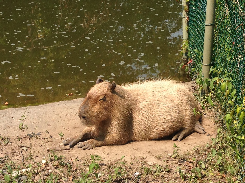 我不是你男朋友,他不是我的男友