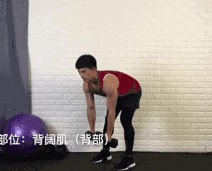 哑铃塑形动作大全,20斤哑铃练手臂的全套动作