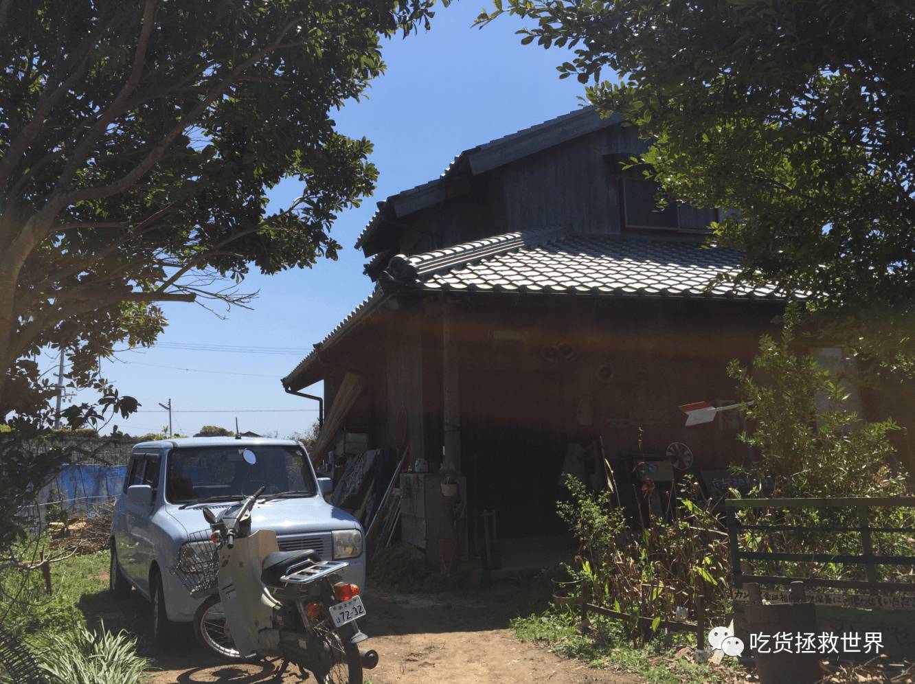 鎴戝湪妯辫姳灏忛晣,鍦ㄦū鑺遍鑸炵殑瀛ｈ妭