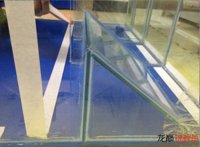 地缸推荐,家里可以搞个多大的地缸