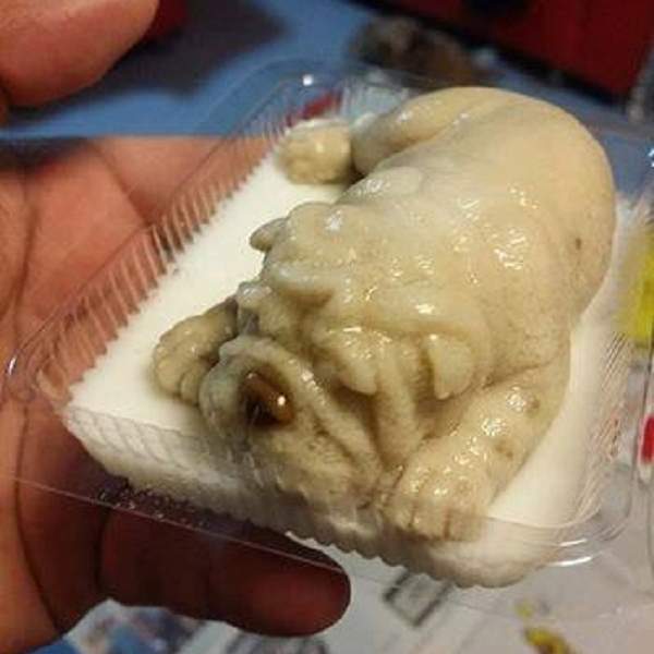 恐怖沙皮狗,沙皮狗恐怖视频