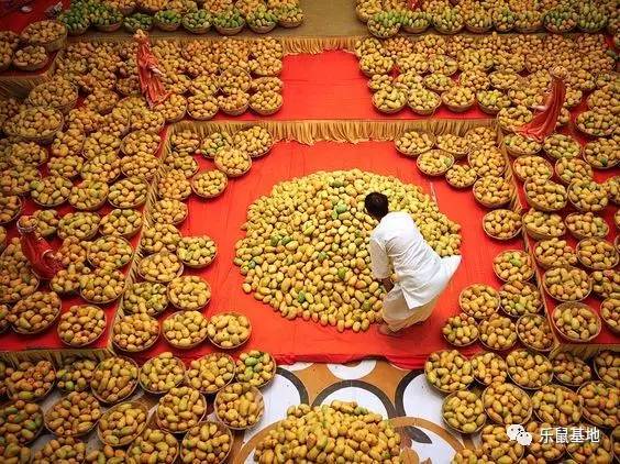 芒果的发展史 (一分钟带你了解芒果)
