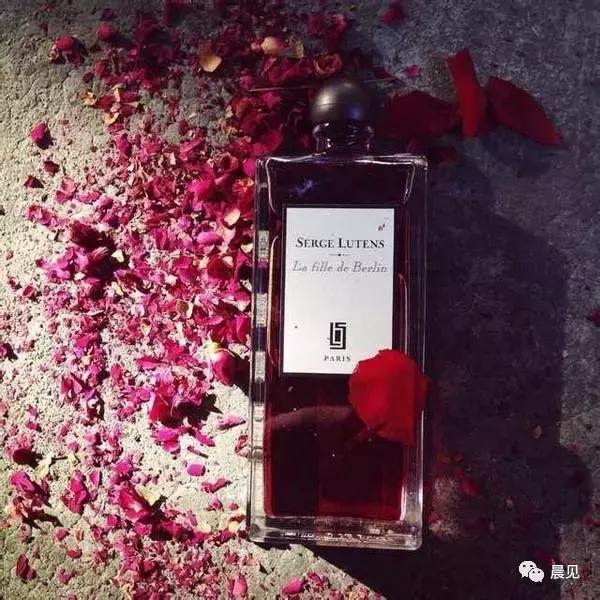闻香识人有哪些香水,闻香识女人里提到的香水