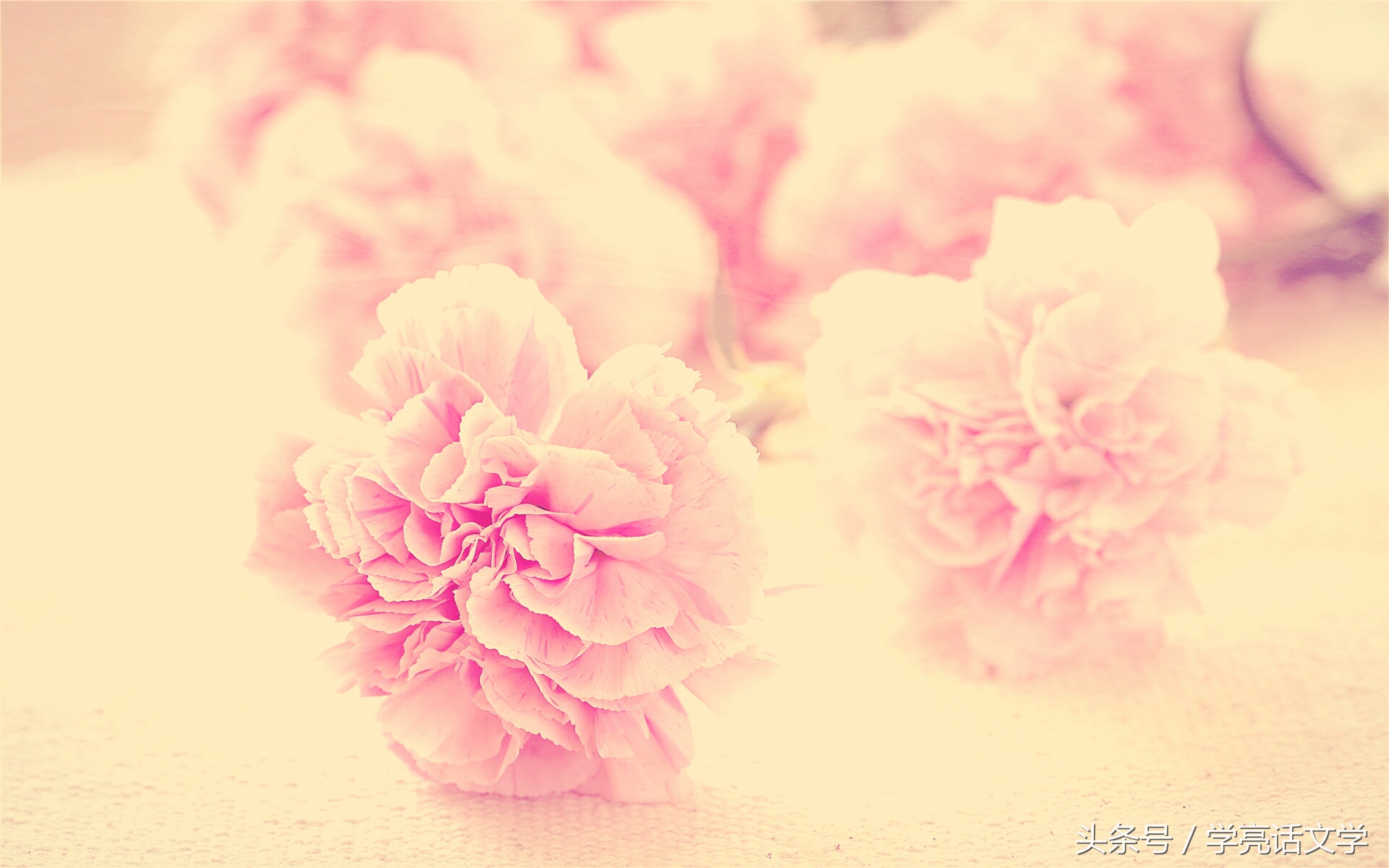 写作比喻的技巧和方法,十种写作手法例题