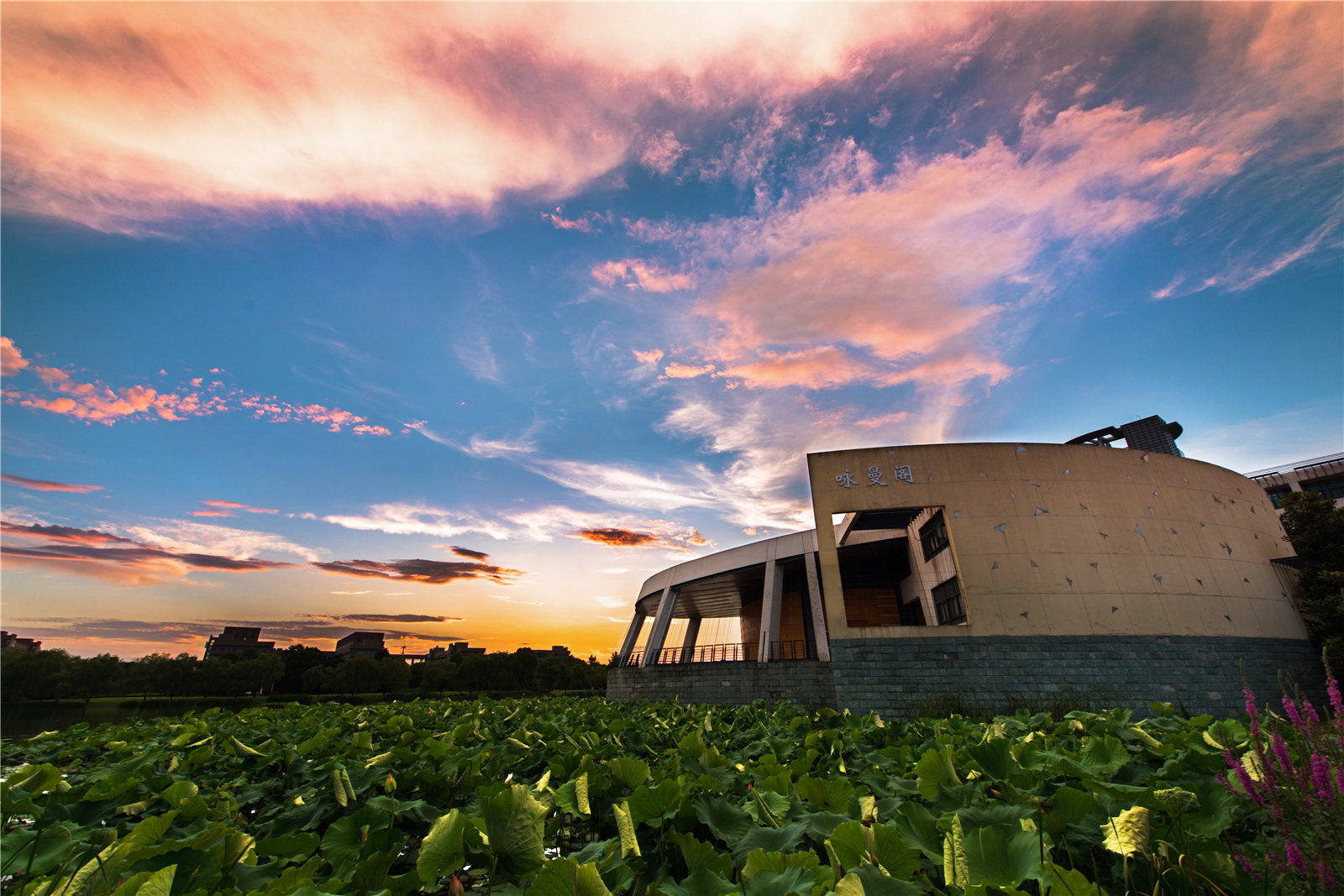 叮咚!浙大研究生新版录取通知书已送达,请注意签收!